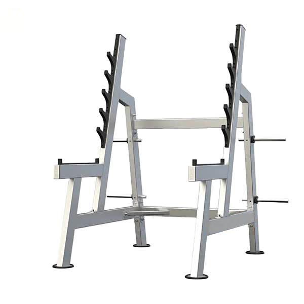 خرک اسکات طرح Squat Rack NS0053 DHZ