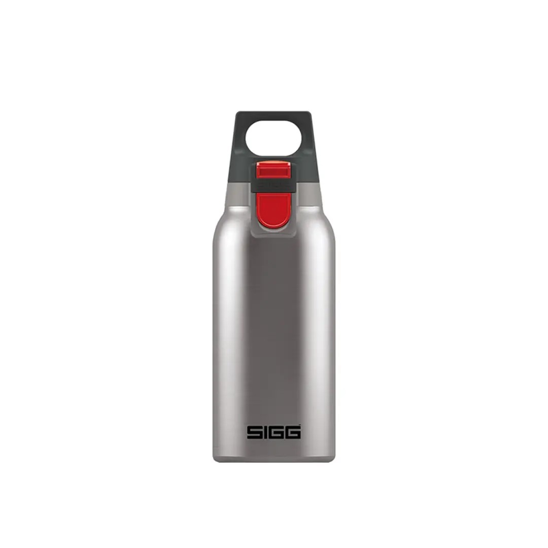 فلاسک SIGG Hot & Cold ONE 300