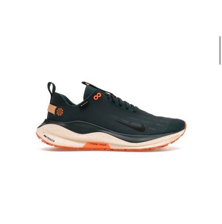 کفش نایک ReactX Infinity Run 4 سبز | Nike Infinity Run 4 Green