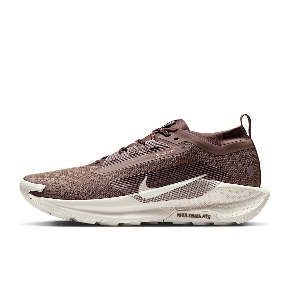 Nike Pegasus Trail 5 GORE-TEX SP
