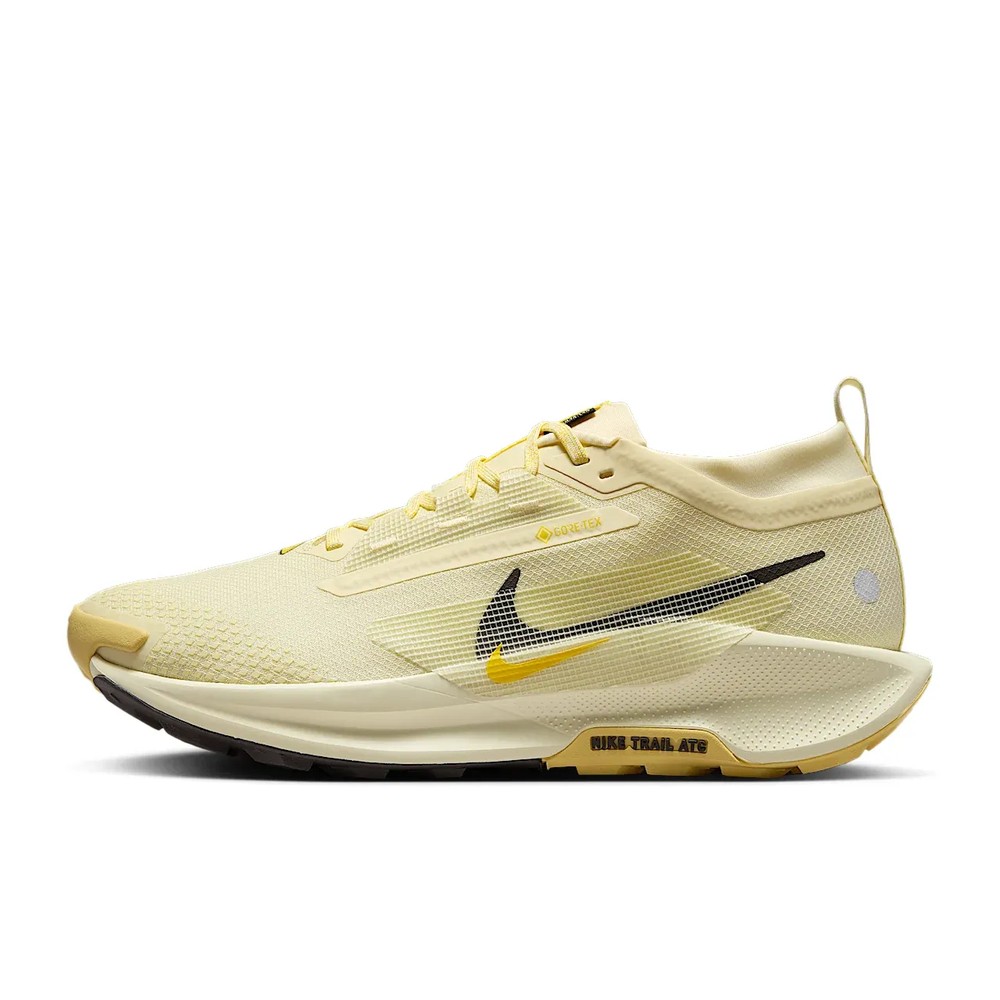 Nike Pegasus Trail 5 GORE-TEX