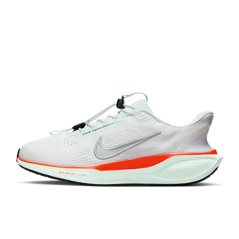 Nike Pegasus EasyOn