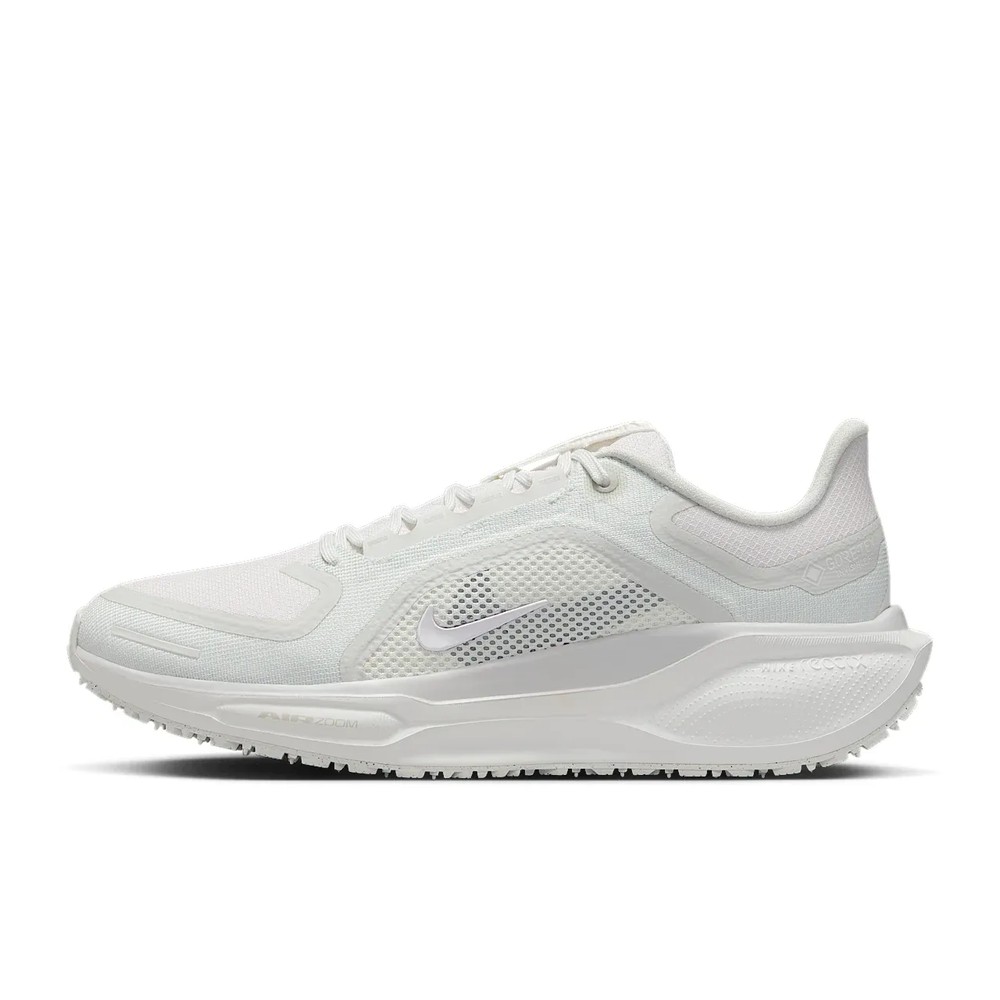 Nike Pegasus 41 GORE-TEX