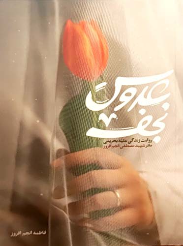 عروس نجف