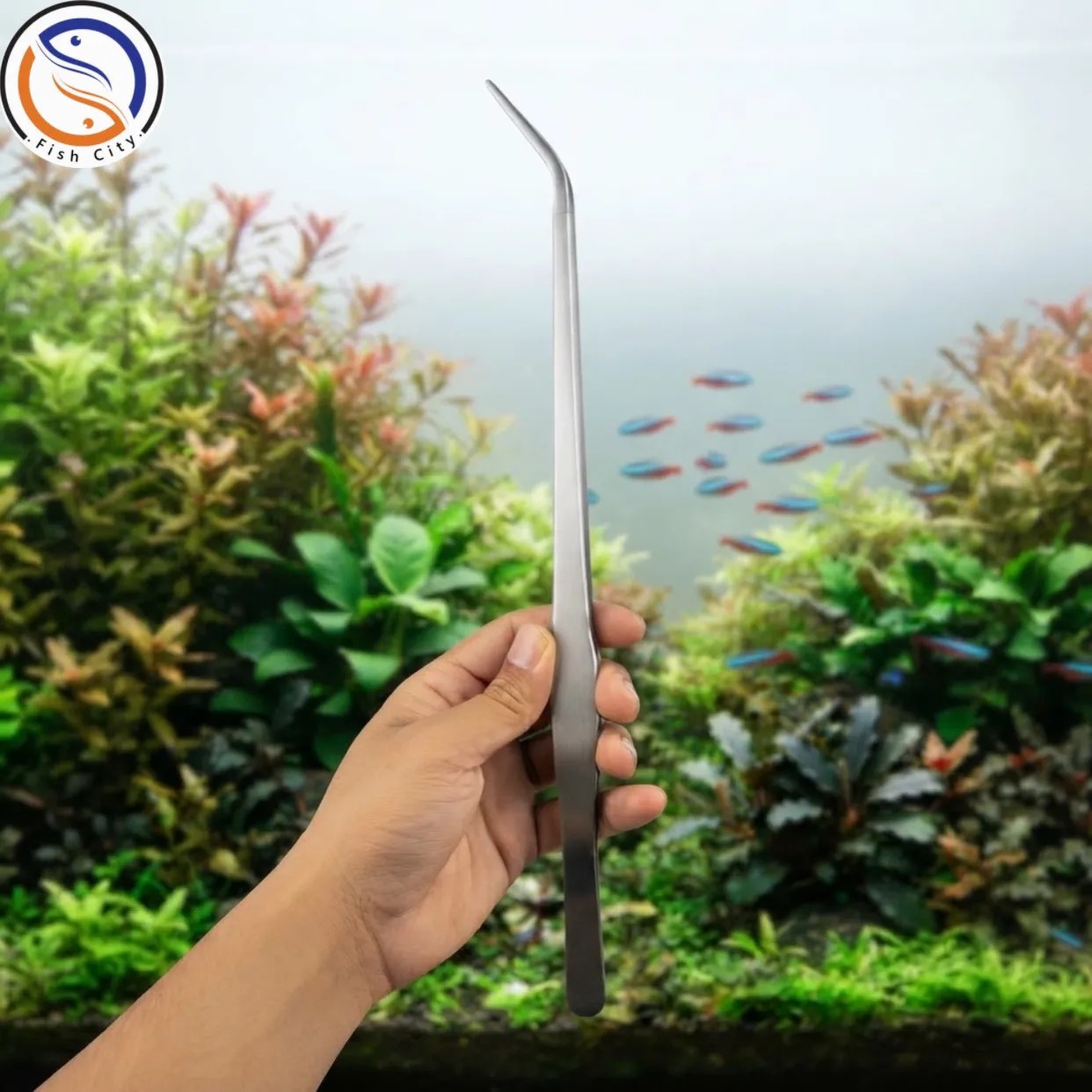 پنس سرکج اکواریوم 40سانتی