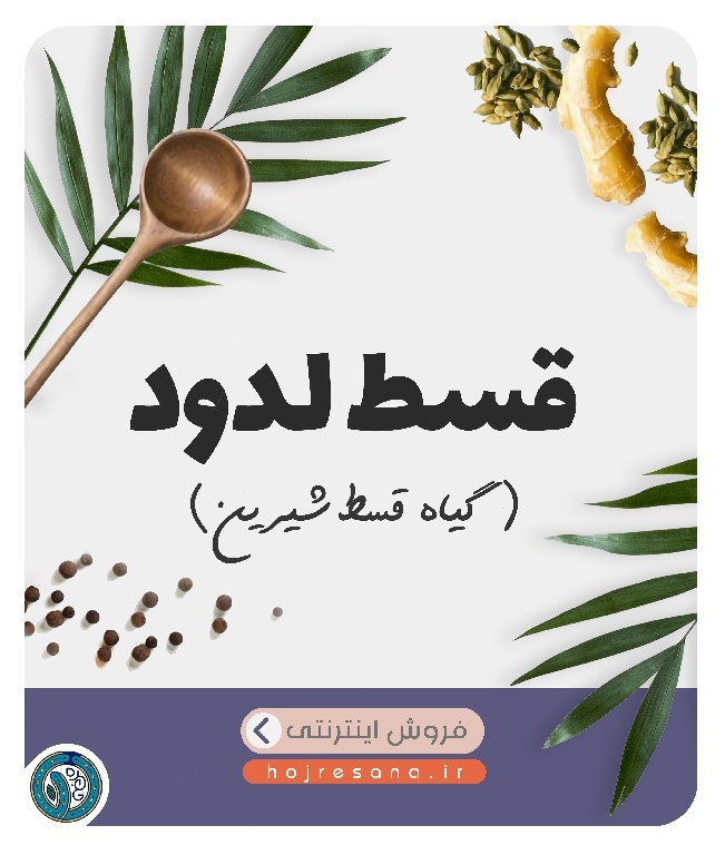 گیاه قسط شیرین (قسط لدود)