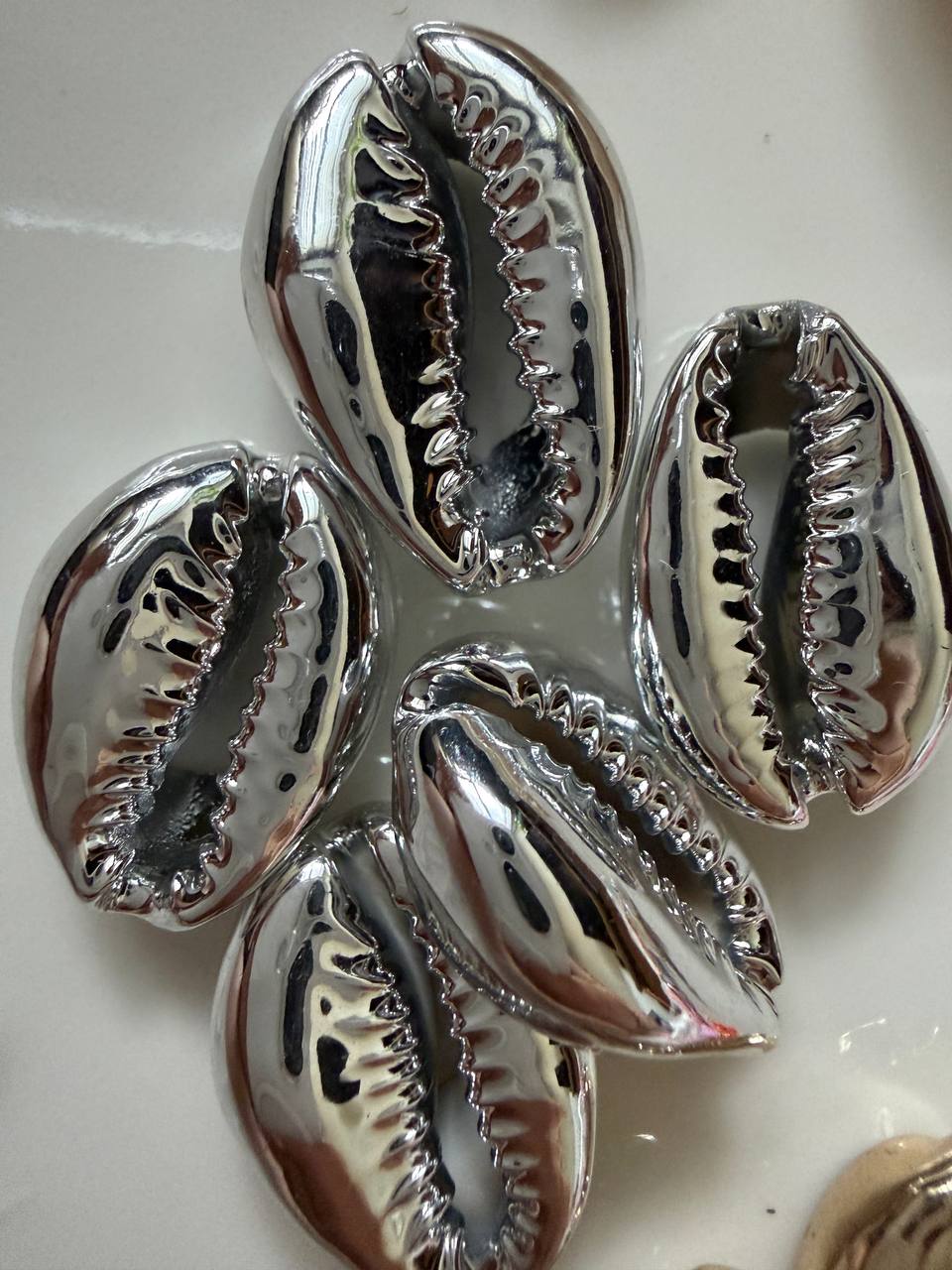 صدف سیپرا ابکاری نقره