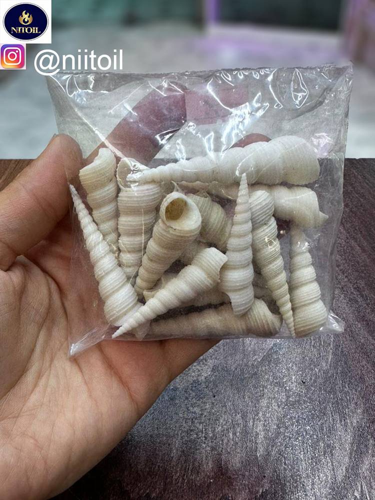 صدف