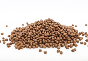 غذای بچه ماهی کپور