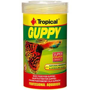 غذا ماهی آکواریوم گوپی تروپیکال لهستان Guppy tropical قوطی 100ml/20gr