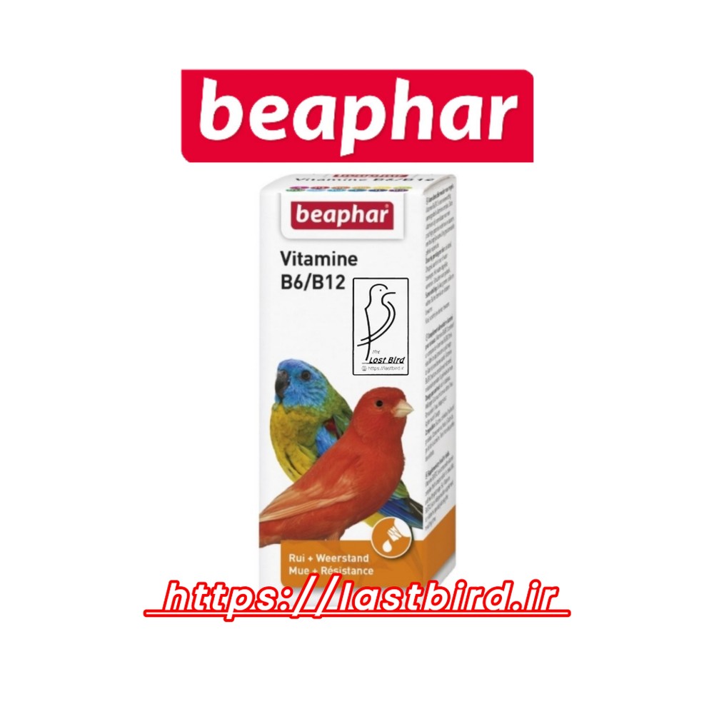 Vitamin B6 & B12 ویتامین ب6 و ب12 بیفار هلند