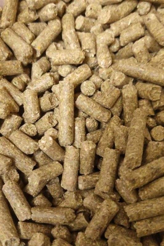 پلیت خرگوش 1 کیلوگرم
