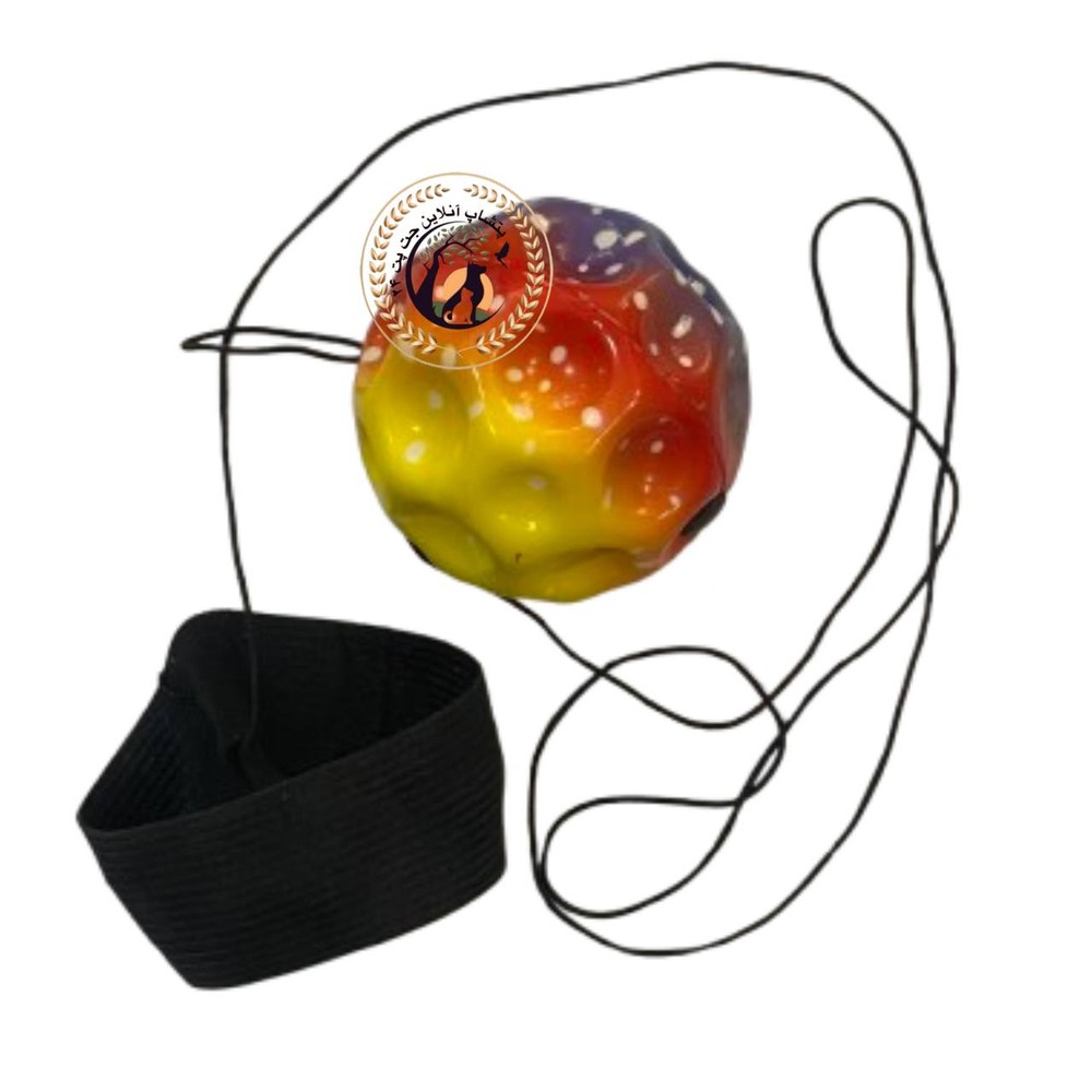 توپ فضایی جهشی مناسب سگ با مچ بند و کش 1 متری وارداتی