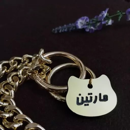 پلاک اسم طرح گربه