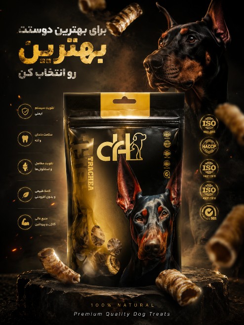 تشویق سگ دکتر اچ Trachea
