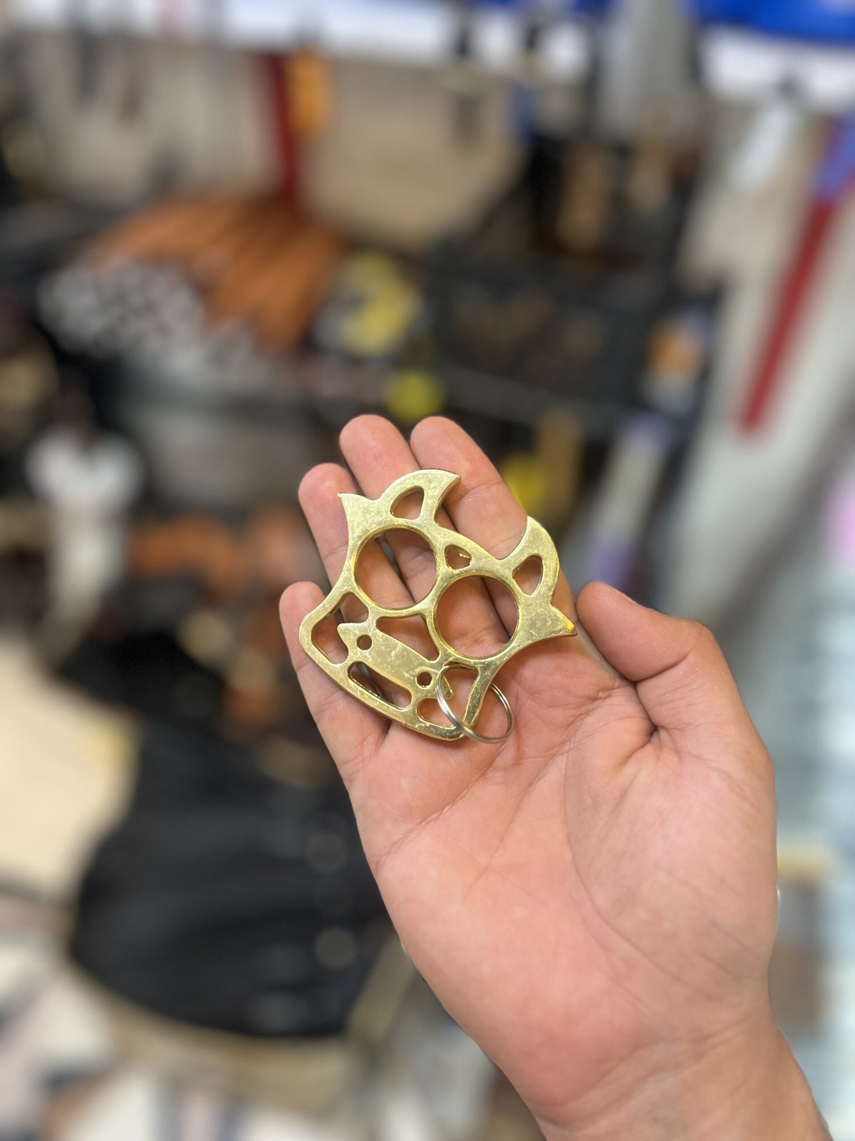 پنجه بوکس گربه ای