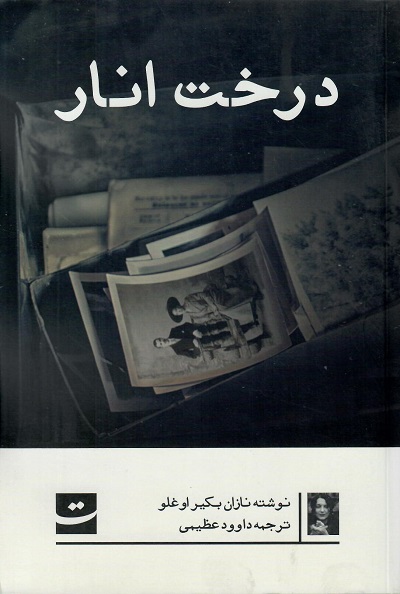 درخت انار