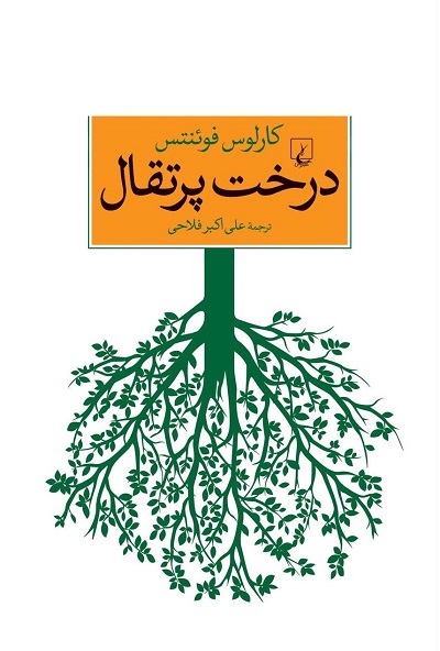 درخت پرتقال