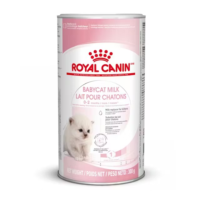 شیر خشک بچه گربه رویال کنین (Royal Canin Baby Cat Milk)