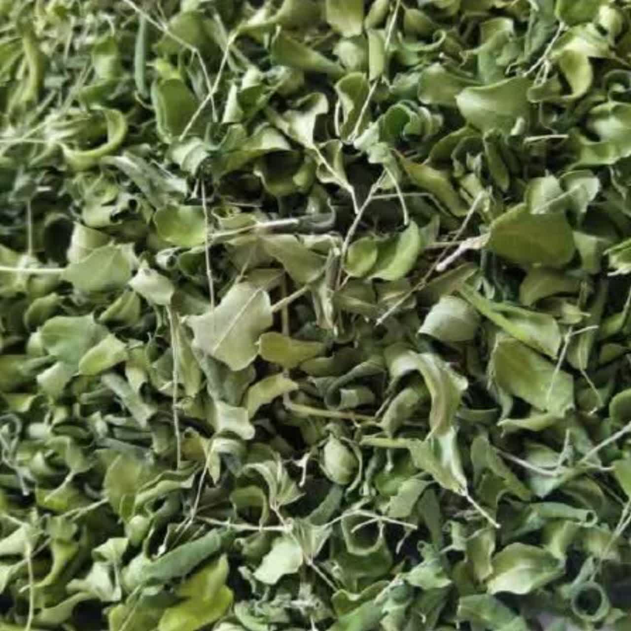 برگ مورینگا عمده