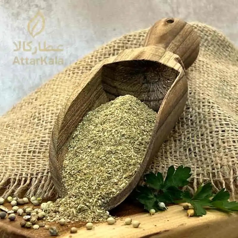 گشنیز نرم