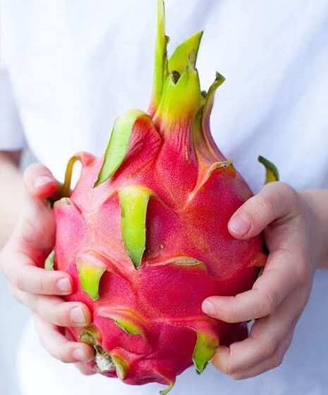 میوه اژدها