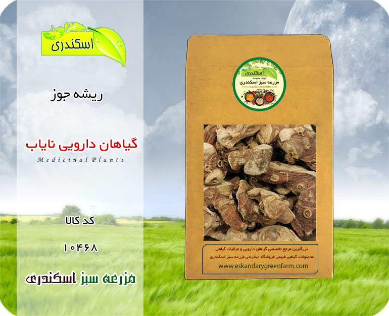 ریشه جوز نایاب (خسرو دار)