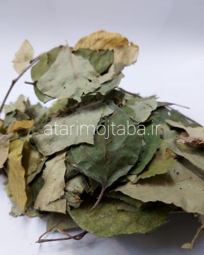 برگ به 180 گرمی