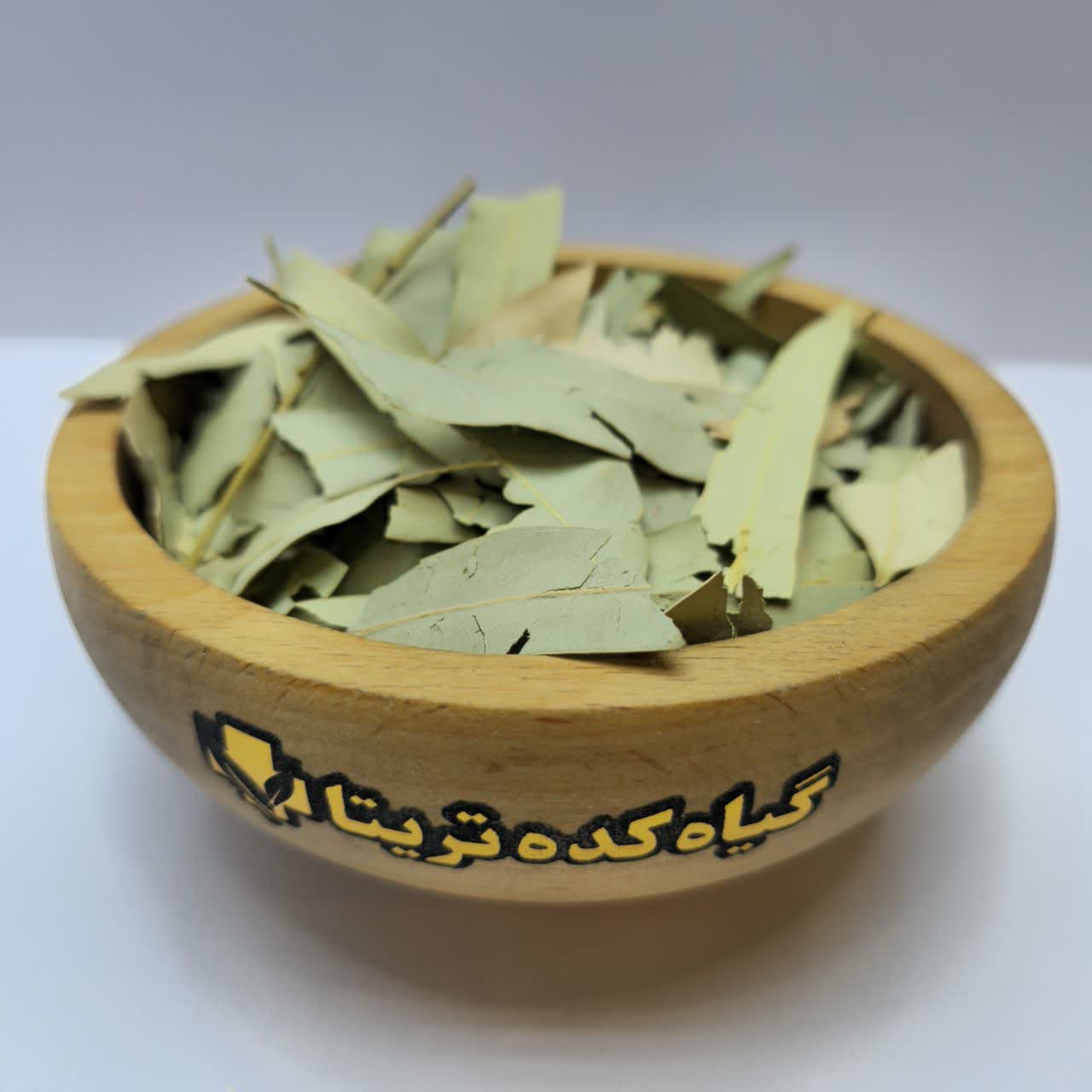برگ اکالیپتوس