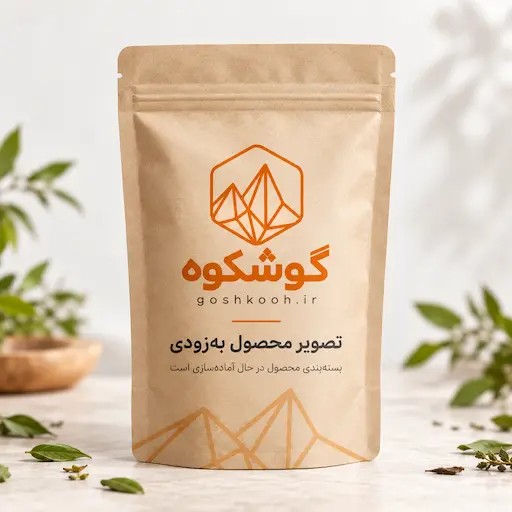 پلویی