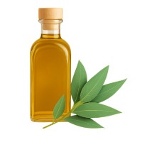 اسانس مایع اکالیپتوس