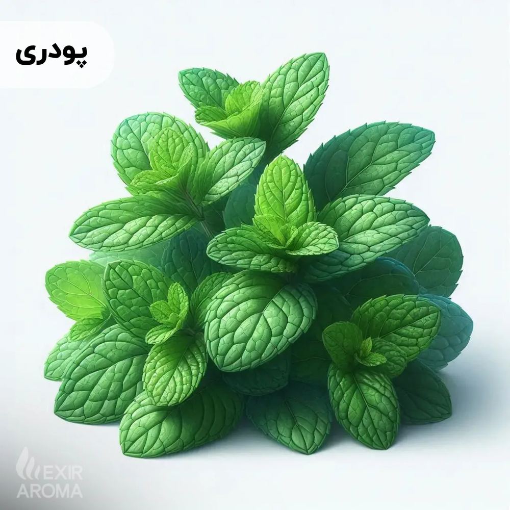 اسانس نعناع شیرین پودری خوراکی