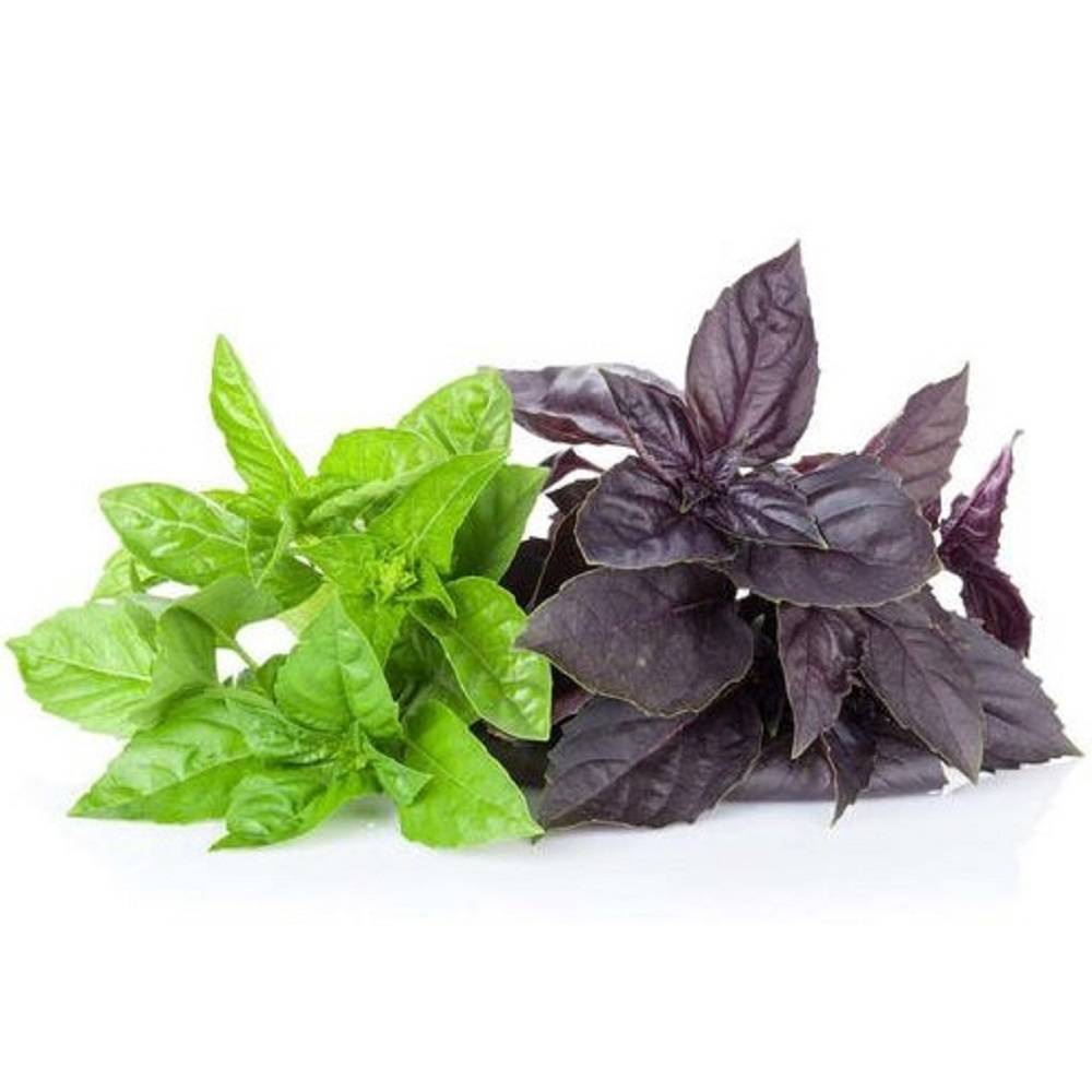 سبزآرنگ سبزی ریحان 120گ