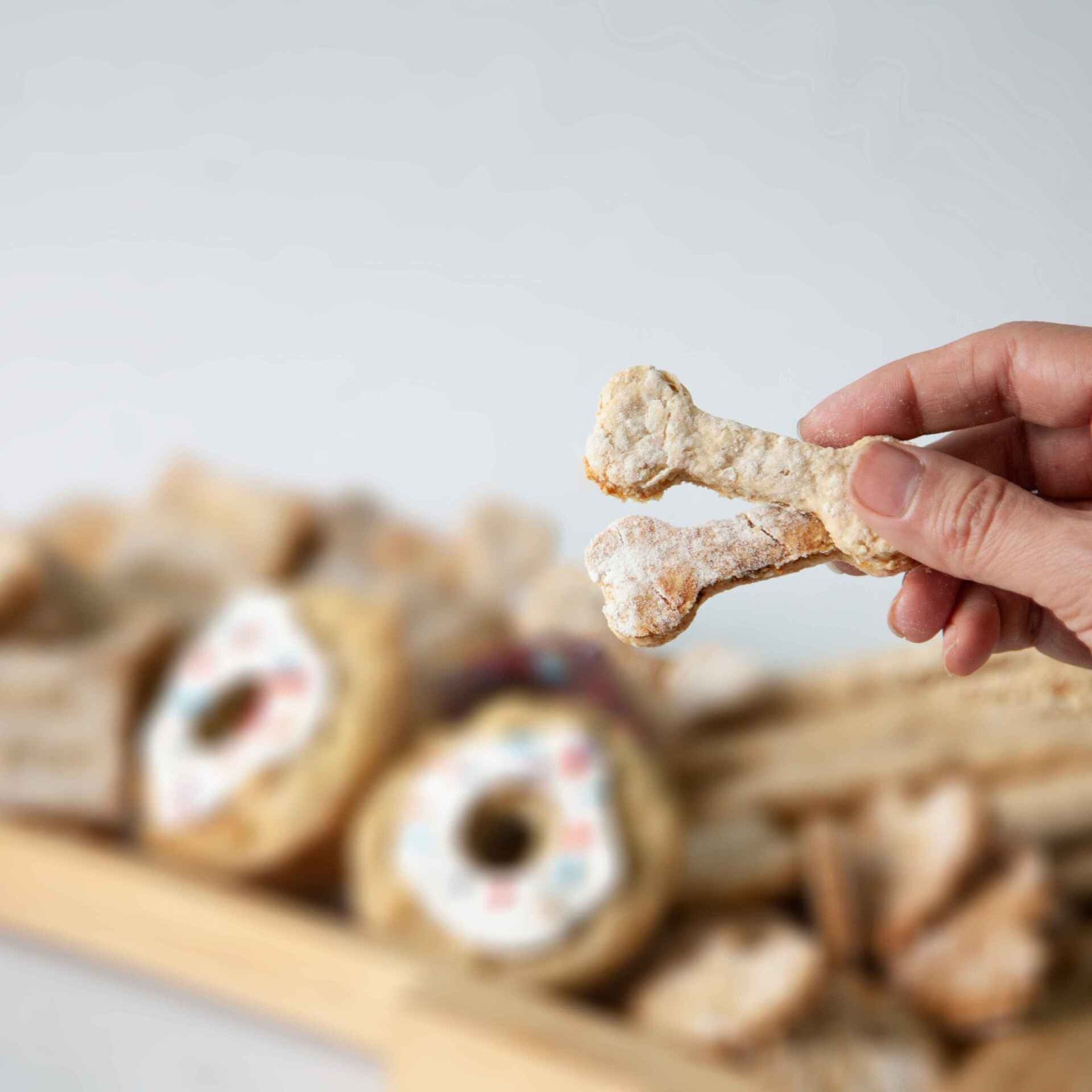 کوکی تشویقی دست ساز مخصوص سگ طرح استخوان کوکیچه Cookiecheh بسته 10 عددی