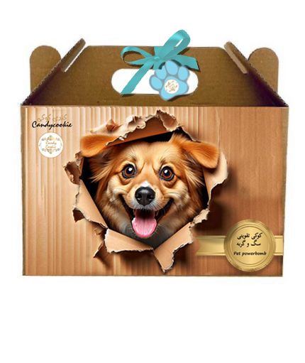 کوکی پاور بمب کندی کوکی تقویتی مخصوص سگ و گربه CandyCookie Pet Cookie