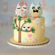 کیک تولد دخترانه جغد 2