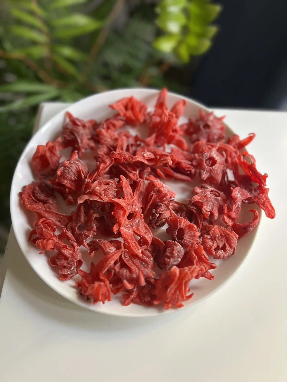 هبیسکوز (میوه چای ترش)
