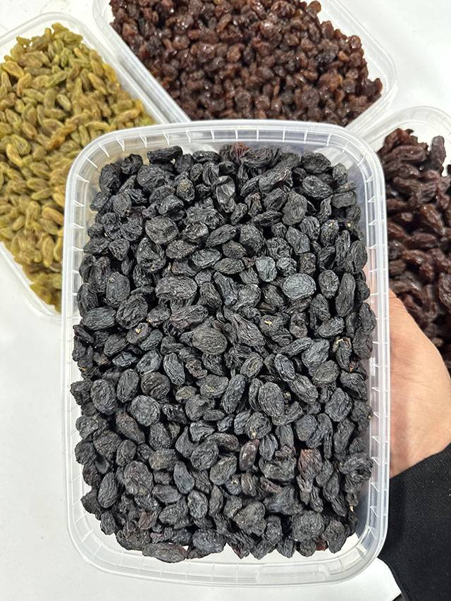 مویز شانی
