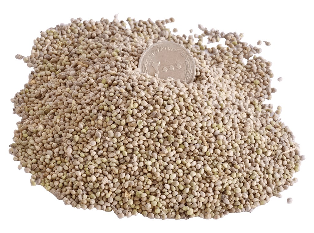 شاهدانه پک یک کیلویی