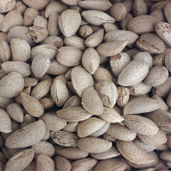 بادام درختی(سنگی)/900گرم