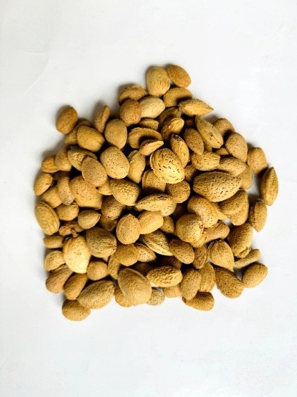 بادام درختی (بادام سنگی) (یک کیلویی)