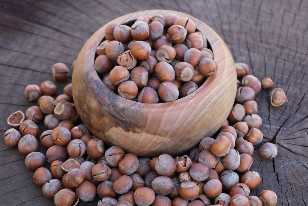 فندق محلی خام