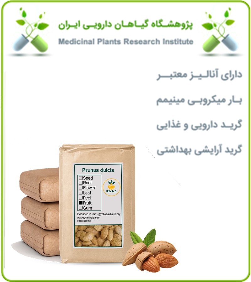 بادام سنگی فله