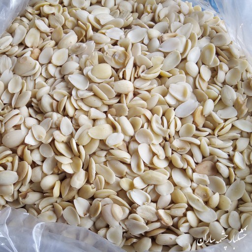 تندچه زردالو