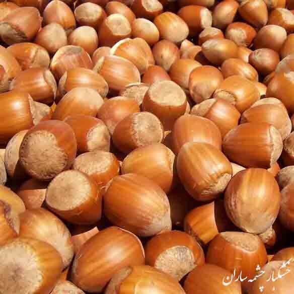 فندق | فندق خوانسار | فندق درجه یک