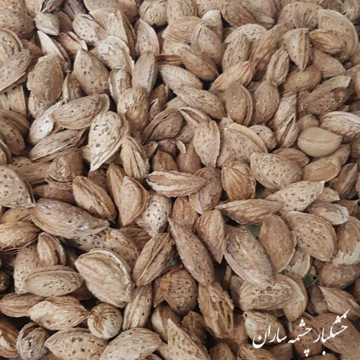 بادام پوست کاغذی| بادام محب | بادام منقا