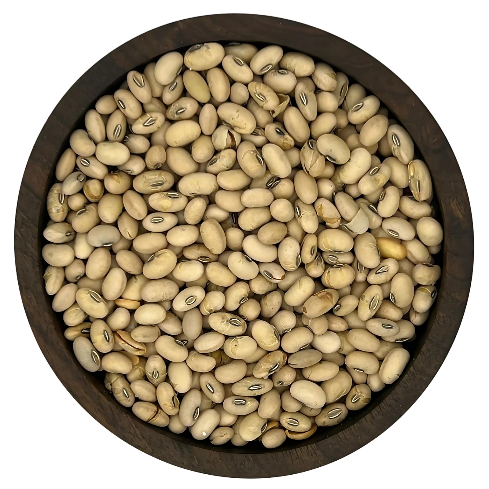 سویا آجیلی