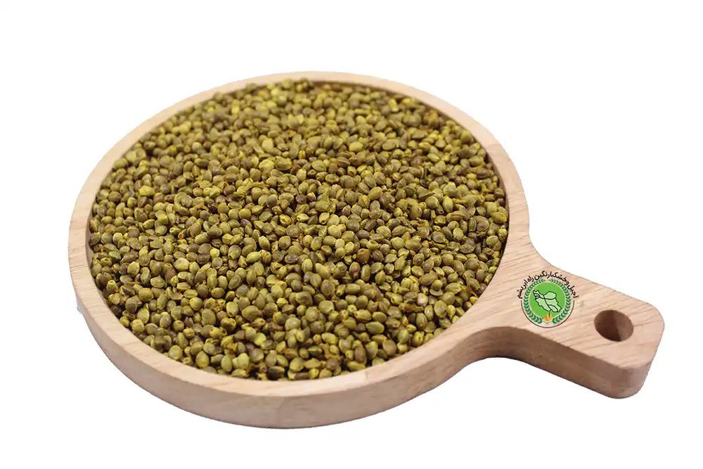 شاهدانه شور