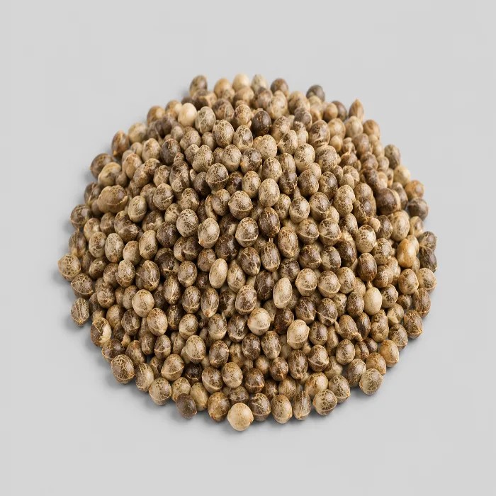 شاهدانه (کنف)