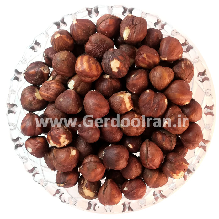 مغز فندق خام